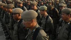 Ular Sanca 2 Meter Ditangkap Satpol PP saat Patroli PSBB di Margonda Depok