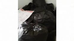 Viral Video Surat Suara Tercoblos di Malaysia