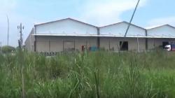 Mahasiswi yang Ditemukan Tewas Telanjang di Sidoarjo Dibunuh Teman Kuliah