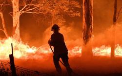 Kebakaran Hutan Kian Memburuk, Australia Umumkan Zona Bebas Turis