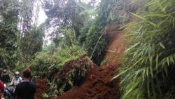 Tebing 10 Meter Longsor, Akses ke Objek Wisata Dieng Terputus<