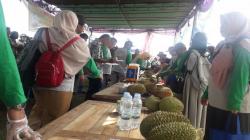 Bangka Tengah Gelar Kontes Durian Lokal, Ini Kriteria Pemenang