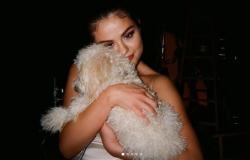 Deretan Selebriti Ini Berikan Reaksi Menyentuh atas Kebakaran Hutan di Australia