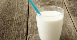 Susu Kecoak Bakal Jadi Tren 2020, Apa Manfaatnya bagi Kesehatan?