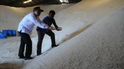 Hukum Menabur Garam dalam Islam untuk Mengusir Jin dan Setan, Bolehkah?