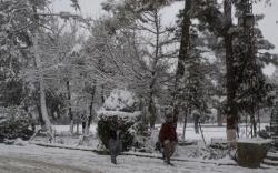 Cuaca Esktrem Landa Pakistan dan Afghanistan, Lebih dari 80 Orang Tewas