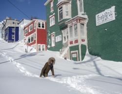 Dilanda Badai Salju, Kanada Kerahkan Ratusan Tentara hingga Helikopter
