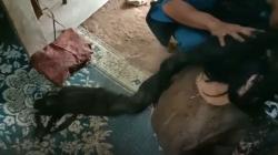 Rambut Nenek Sukiyah Jadi Sarang Tikus Gara-Gara Tak Keramas 27 Tahun