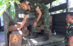 Pembalakan Liar di Buleleng Bali Belum Ditindaklanjuti, Polisi Beralasan Tunggu Laporan