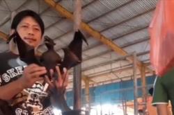Video Pasar Ekstrem Kelelawar dan Ular di Tomohon Tetap Laris meski Virus Korona Merebak