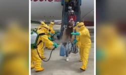 Detik-Detik WNI dari Wuhan Mendarat di Batam, Seluruh Penumpang Disemprot Desinfektan