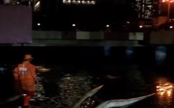 Video Underpass Kemayoran Kembali Terendam Banjir, 15 Pompa Dikerahkan