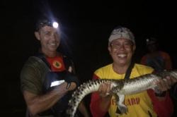 Buaya Muara Berkeliaran di Pantai Sanur Bali Akhirnya Ditangkap