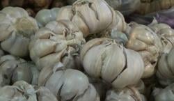 Harga Bawang Putih Meroket, Kemendag Pastikan Tetap Buka Impor dari China