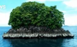 Surga Bawah Laut di Pulau Pianemo Raja Ampat