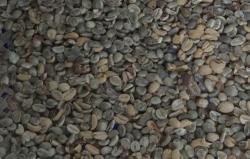 Kopi Aroma Jeruk dari Cianjur, Gurih dan Nikmat