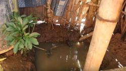 Musim Hujan, Banyak Warga di Lombok Timur Terserang DBD