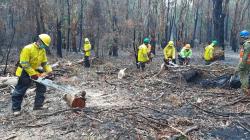 Presiden Jokowi Dapat Apresiasi dari Australia Terkait Bantuan Karhutla