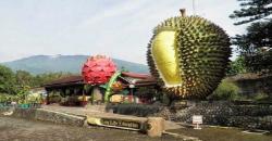 Kebun Durian Warso Farm, Wisata Petik Buah dan Kulineran Terpopuler di Bogor