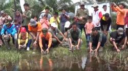 Sejumlah Satwa Langka Dilepasliarkan di Bangka Belitung