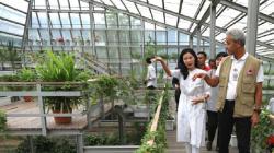 Rumah Atsiri di Karanganyar Hidupkan Kembali Pabrik Minyak Wangi Bung Karno