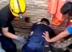 Detik-Detik Petugas Damkar Dililit Ular Sanca 4 Meter di Bandar Lampung