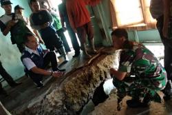 Longsor dan Tanah Retak Landa Tegal, 6 Rumah Rusak, Jalan Ambles