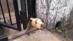 Penemuan Benda Mencurigakan Dililit Kabel Mirip Bom Gegerkan Warga Pantura Brebes