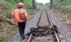 Video Tumpukan Batu Besar Tutupi Jalur Kereta Jember-Surabaya, Diduga Sabotase