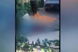 Detik-Detik Evakuasi 2 Pemotor Tewas Tertimpa Pohon di Tangerang