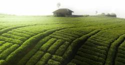 Menikmati Keindahan Alam Dusun Cangar di Kota Batu, Ada Pemandian Air Hangat