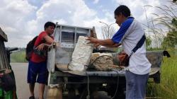 Imbas Wabah Corona, Produksi Karet di Sumsel Turun 35 Persen