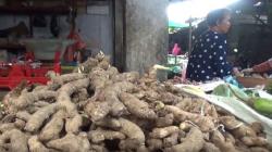 Diinfokan Dapat Meningkatkan Daya Tahan Tubuh, Harga Rempah di Jombang Naik