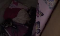 Video ABG Bunuh Bocah 5 Tahun di Sawah Besar Jakarta, Diduga Terinspirasi dari Film