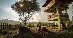 Alas Purwo, Wisata Alam Liar Mirip di Afrika dan Terkenal Mistis