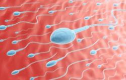 Pria Ini Masukkan Sperma ke Minuman Perempuan Teman Kerja karena Ditolak Kencan