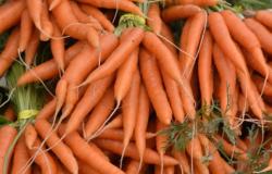 Miliki Kandungan Super, Makanan Ini Bisa Bikin Tubuh Sehat dan Panjang Umur