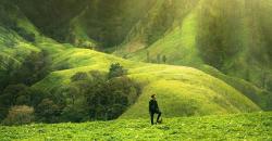 Negeri Dongeng di Bondowoso, Ada Taman Galuh Diselimuti Hamparan Bunga
