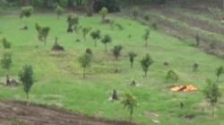 Video Pemkot Medan Siapkan Lahan Khusus Pemakaman Jenazah Pasien Covid-19