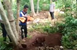 Video Bayi PDP di Buton Meninggal, RS Tak Punya APD Pemakaman Dilakukan Sendiri sang Ayah