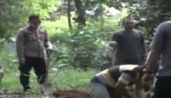 Video Aksi Heroik Polisi di Jambi Bantu Gali Makam Jenazah PDP Corona