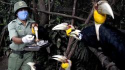 Melihat Perawatan Satwa di Royal Safari Garden