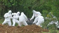 Sebaran Korban Meninggal akibat Corona 7 Mei: Paling Banyak di Banten