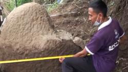 Mau Cari Tanah, Penggali Pasir di Mojokerto Malah Temukan Situs Purbakala