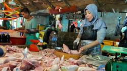 Biasa Dijual Rp100.000 per Ekor, Ayam Kampung Turun Harga hingga Rp45.000