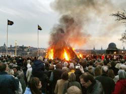 Kota Ini Gunakan Kotoran Ayam untuk Hentikan Wabah Corona