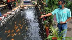 Dulu Penuh Sampah, Selokan di Cibenda Bogor Kini Dijadikan Tempat Budidaya Ikan
