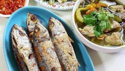 Punya Protein Tinggi, Ikan Kembung Bantu Penyembuhan Pasien Corona