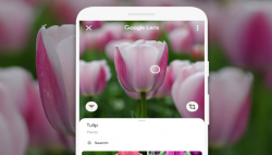 Google Lens Kini Permudah Salin Teks ke Komputer