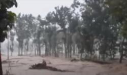 Detik-Detik Banjir Bandang Setinggi 120 Cm Terjang Kendal, 88 Keluarga Mengungsi